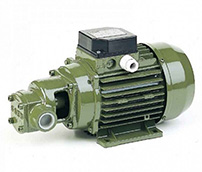 Запчасти насосов SAER CF/CFP